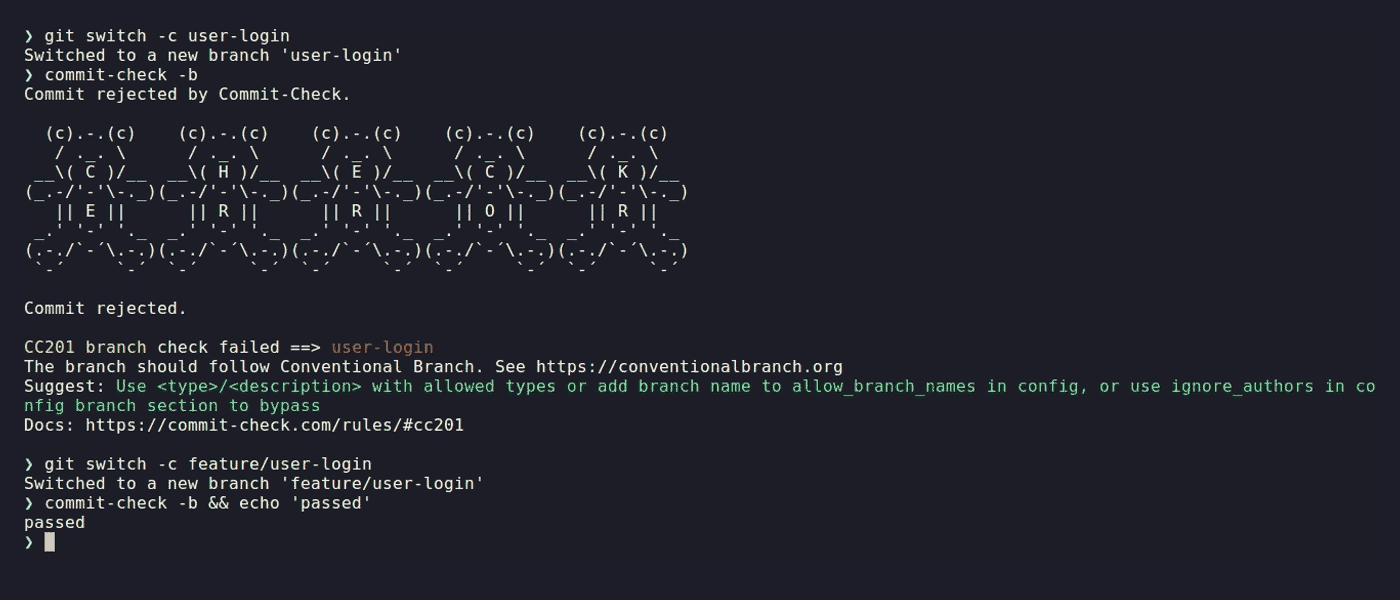 The same terminal at the end of the recording, both checks having run